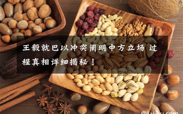 王毅就巴以冲突阐明中方立场 过程真相详细揭秘!