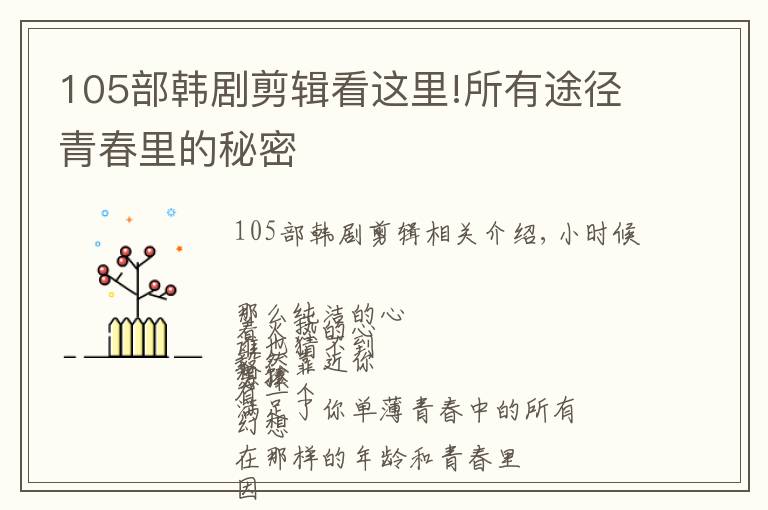 105部韩剧剪辑看这里!所有途径青春里的秘密