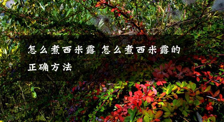 怎么煮西米露 怎么煮西米露的正确方法