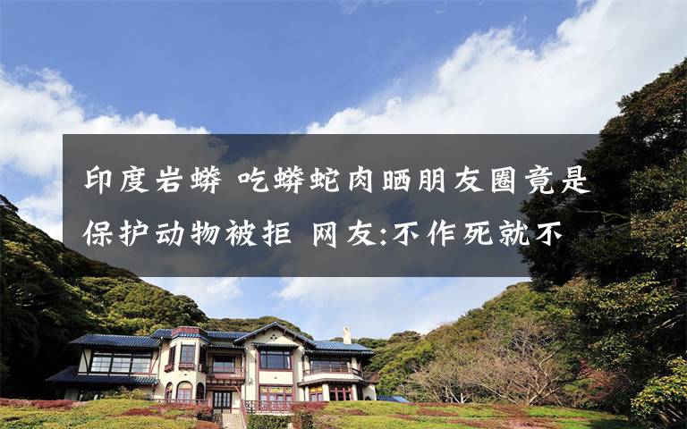 印度岩蟒 吃蟒蛇肉晒朋友圈竟是保护动物被拒 网友:不作死就不会死