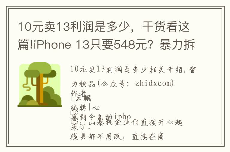 10元卖13利润是多少,干货看这篇!iPhone 13只要548元?暴力拆解山寨机,芯片竟是7年前的货