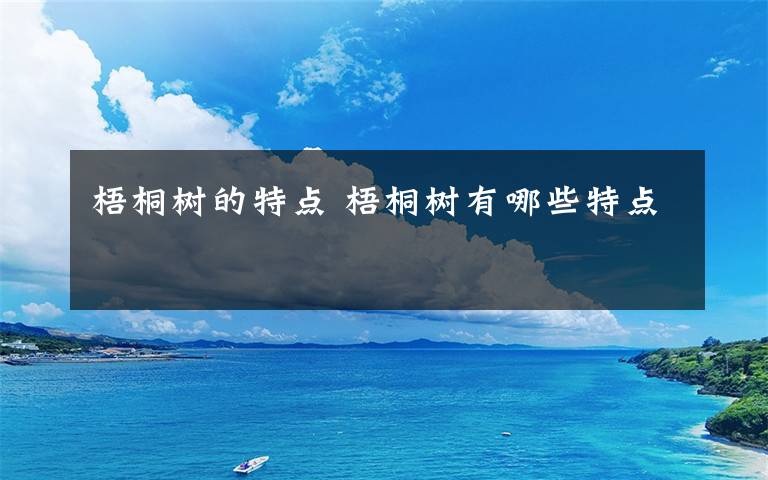 梧桐树的特点 梧桐树有哪些特点