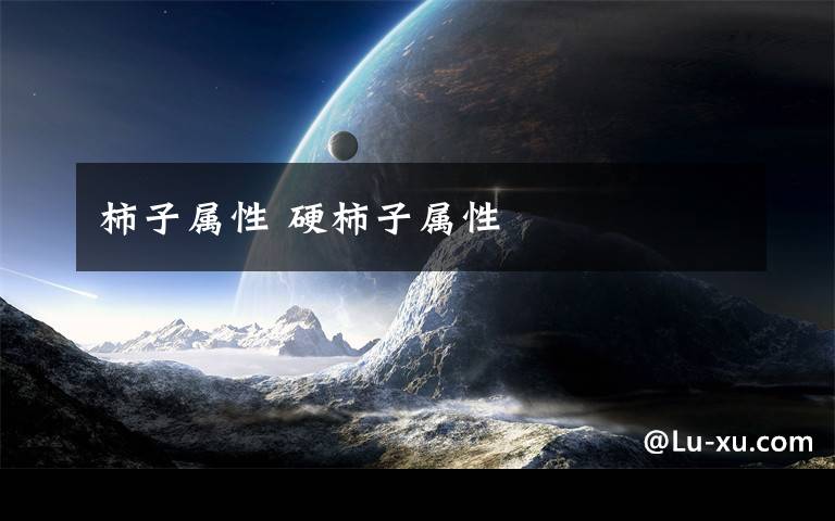 柿子属性 硬柿子属性