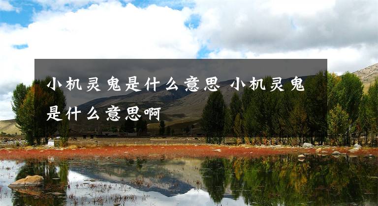 小机灵鬼是什么意思 小机灵鬼是什么意思啊