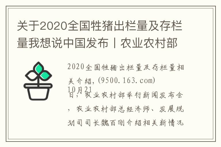 关于2020全国牲猪出栏量及存栏量我想说中国发布丨农业农村部：截至9月底全国生猪存栏达3.7亿头