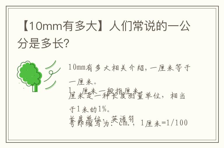 【10mm有多大】人们常说的一公分是多长?