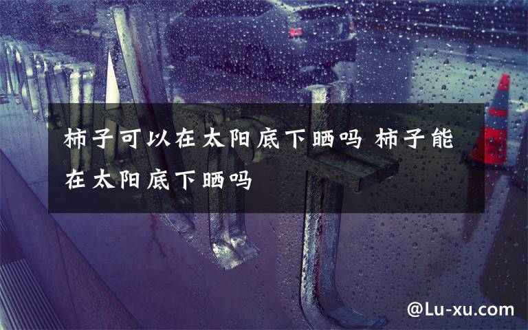 柿子可以在太阳底下晒吗 柿子能在太阳底下晒吗