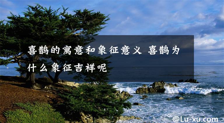 喜鹊的寓意和象征意义 喜鹊为什么象征吉祥呢