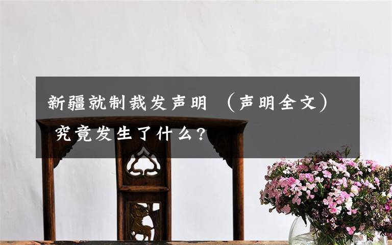 新疆就制裁发声明 （声明全文） 究竟发生了什么?