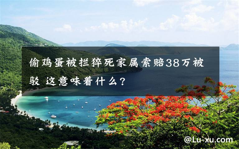 偷鸡蛋被拦猝死家属索赔38万被驳 这意味着什么?