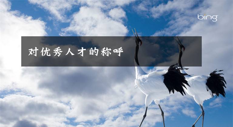 对优秀人才的称呼