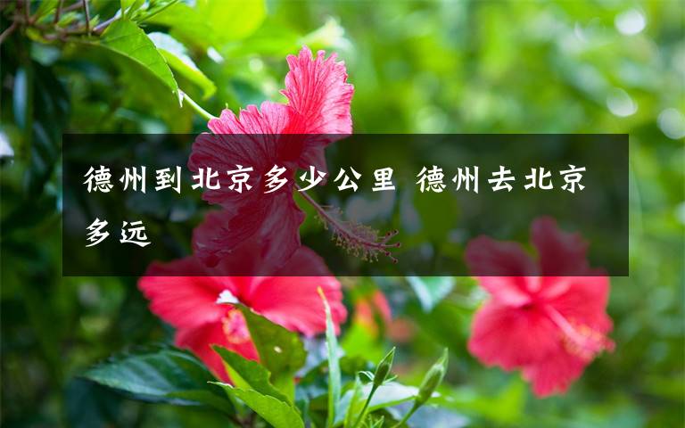 德州到北京多少公里 德州去北京多远