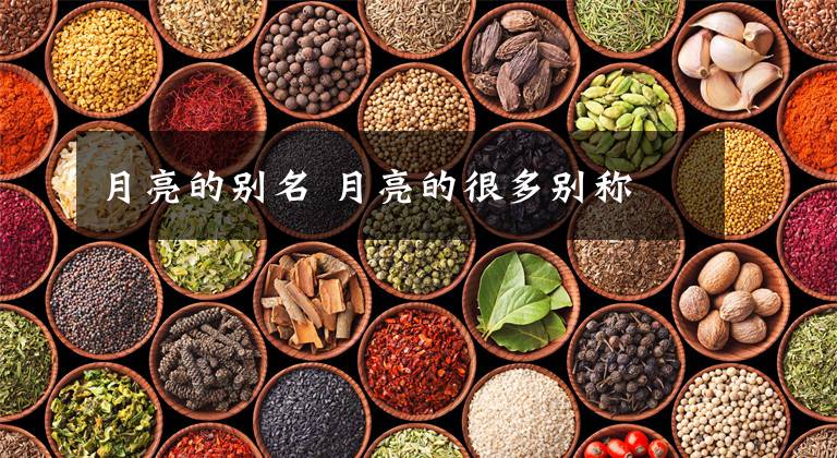 月亮的别名 月亮的很多别称