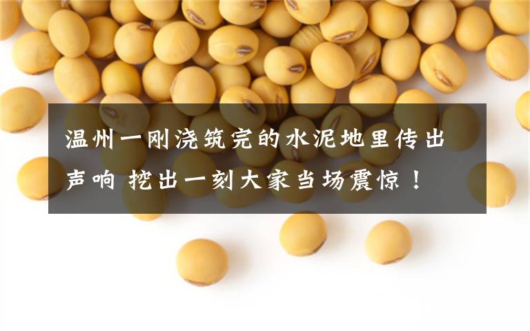 温州一刚浇筑完的水泥地里传出声响 挖出一刻大家当场震惊！