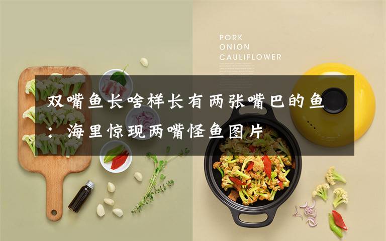 双嘴鱼长啥样长有两张嘴巴的鱼:海里惊现两嘴怪鱼图片