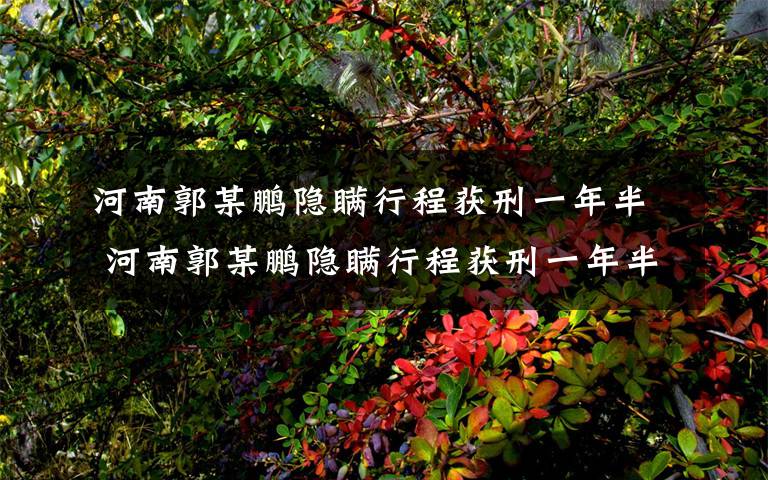 河南郭某鹏隐瞒行程获刑一年半 河南郭某鹏隐瞒行程获刑一年半 郭某鹏表示认罪认罚