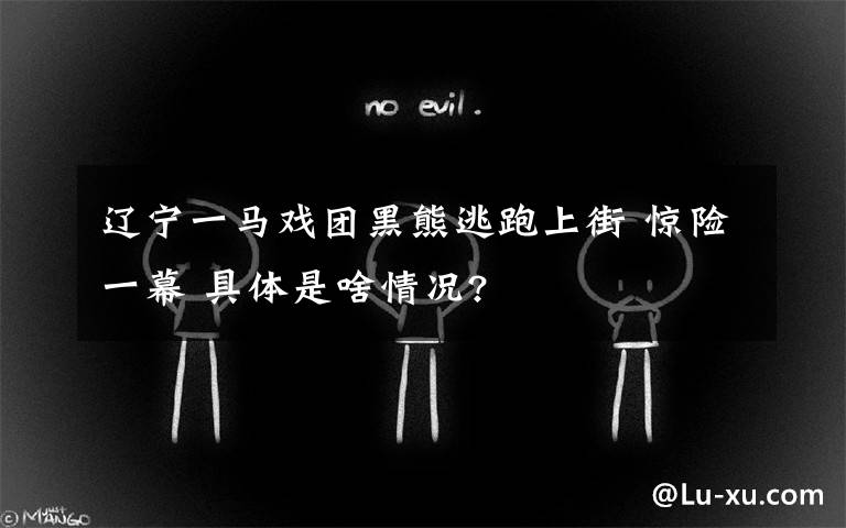 辽宁一马戏团黑熊逃跑上街 惊险一幕 具体是啥情况?