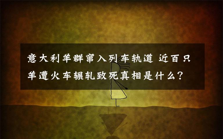 意大利羊群窜入列车轨道 近百只羊遭火车辗轧致死真相是什么?