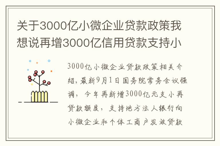 关于3000亿小微企业贷款政策我想说再增3000亿信用贷款支持小微企业,政策来了您准备好了吗