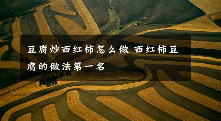 豆腐炒西红柿怎么做 西红柿豆腐的做法第一名