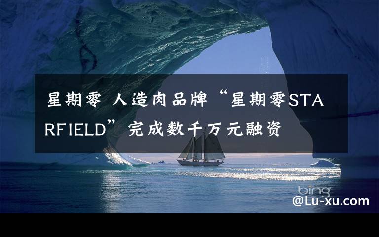 星期零 人造肉品牌“星期零STARFIELD”完成数千万元融资