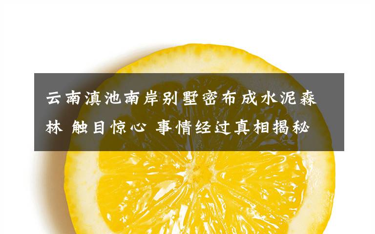 云南滇池南岸别墅密布成水泥森林 触目惊心 事情经过真相揭秘!