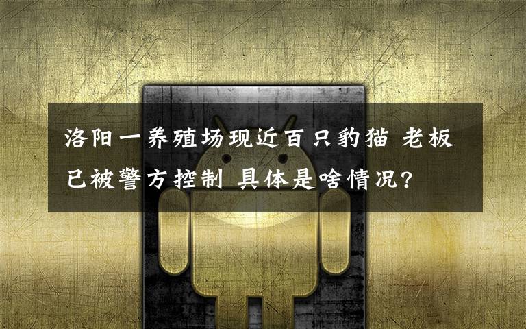 洛阳一养殖场现近百只豹猫 老板已被警方控制 具体是啥情况?