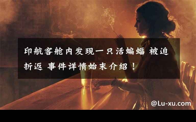 印航客舱内发现一只活蝙蝠 被迫折返 事件详情始末介绍!