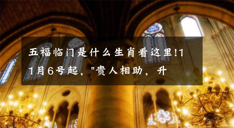 五福临门是什么生肖看这里!11月6号起,"贵人相助,升官发财",五福临门的三大生肖,还有谁