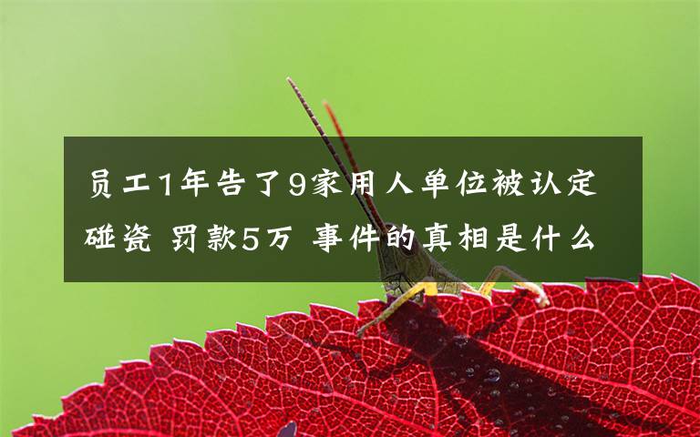 员工1年告了9家用人单位被认定碰瓷 罚款5万 事件的真相是什么？