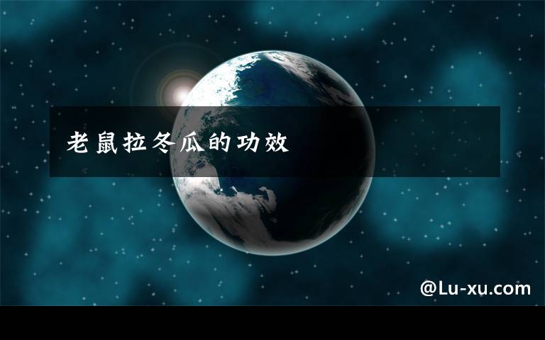 老鼠拉冬瓜的功效