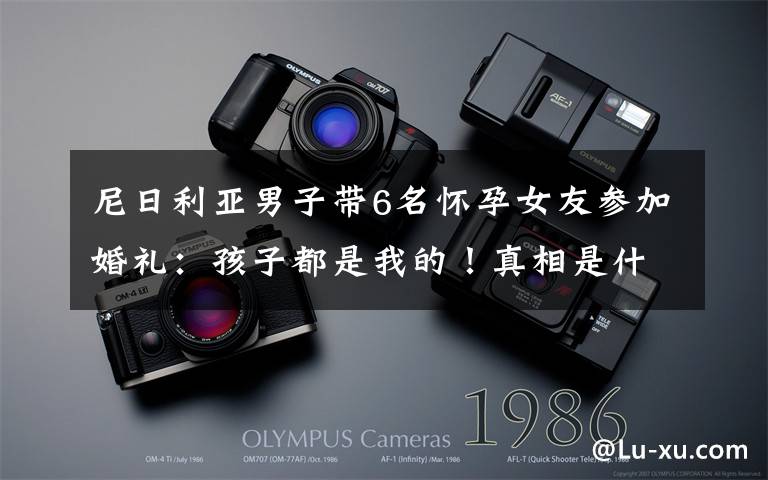 尼日利亚男子带6名怀孕女友参加婚礼:孩子都是我的!真相是什么?