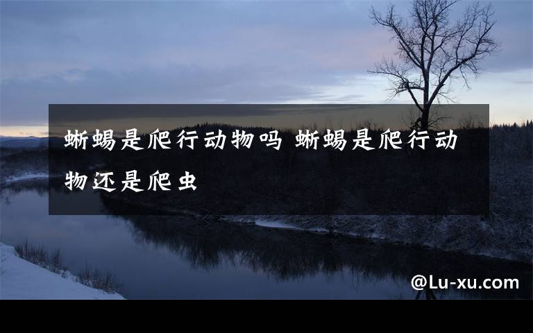 蜥蜴是爬行动物吗 蜥蜴是爬行动物还是爬虫