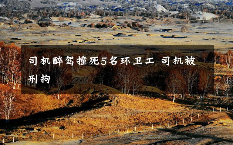 司机醉驾撞死5名环卫工 司机被刑拘