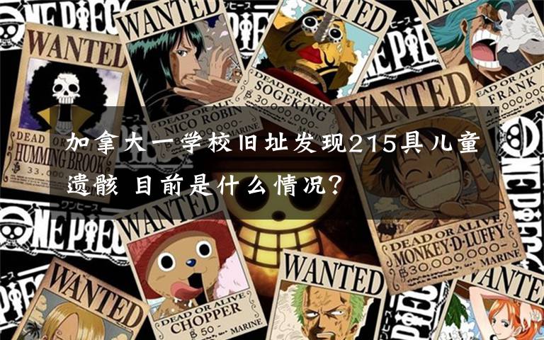 加拿大一学校旧址发现215具儿童遗骸 目前是什么情况？