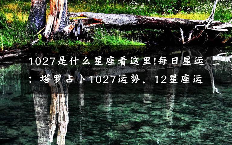 1027是什么星座看这里!每日星运：塔罗占卜1027运势，12星座运势早知道！