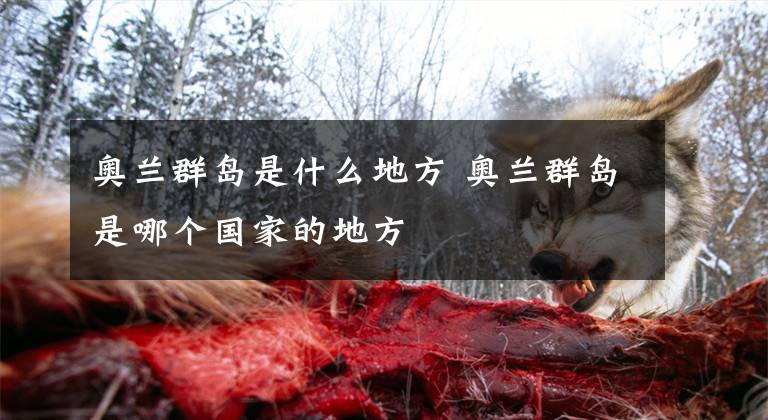 奥兰群岛是什么地方 奥兰群岛是哪个国家的地方