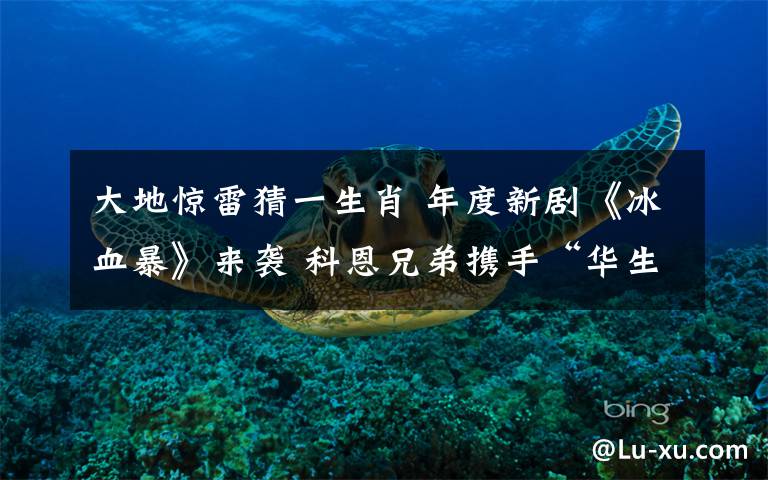 大地惊雷猜一生肖 年度新剧《冰血暴》来袭 科恩兄弟携手“华生”
