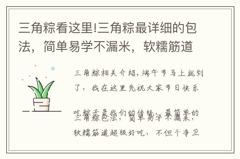 三角粽看这里!三角粽最详细的包法,简单易学不漏米,软糯筋道超好吃,看看就会