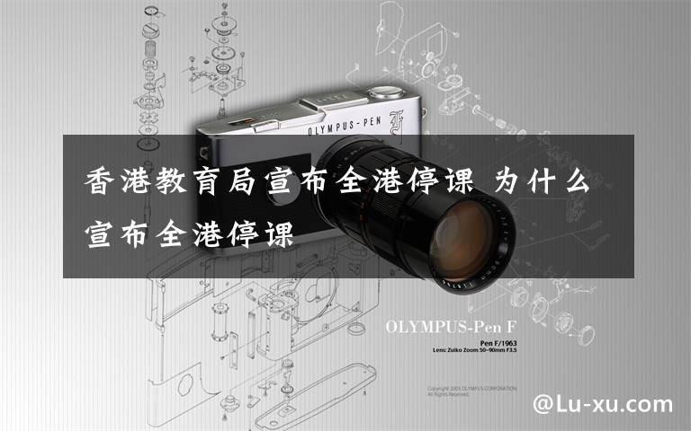 香港教育局宣布全港停课 为什么宣布全港停课