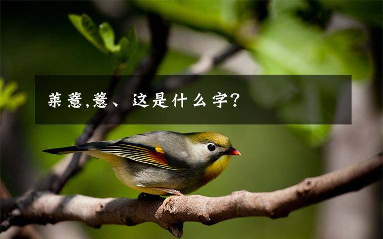 莱薏,薏、这是什么字?