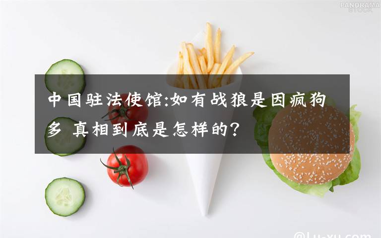 中国驻法使馆:如有战狼是因疯狗多 真相到底是怎样的?