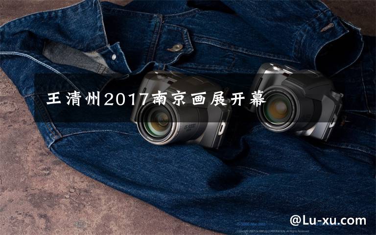 王清州2017南京画展开幕