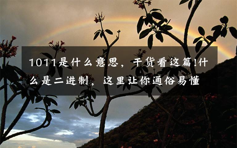 1011是什么意思,干货看这篇!什么是二进制,这里让你通俗易懂