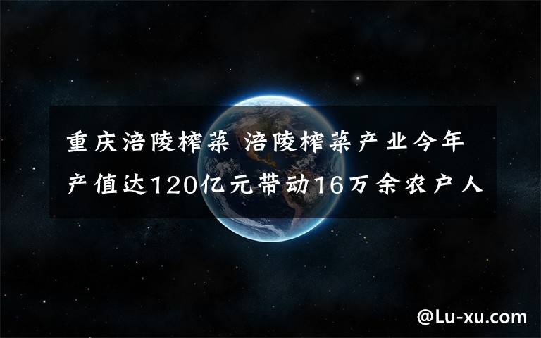 重庆涪陵榨菜 涪陵榨菜产业今年产值达120亿元带动16万余农户人均榨菜纯收入2200元