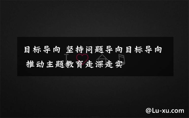 目标导向 坚持问题导向目标导向 推动主题教育走深走实