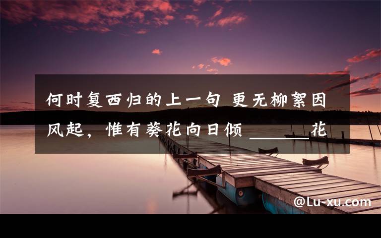 何时复西归的上一句 更无柳絮因风起,惟有葵花向日倾 ______花盘俊态缤纷