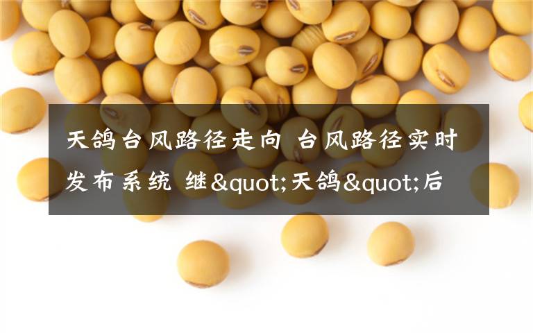 天鸽台风路径走向 台风路径实时发布系统 继"天鸽"后14号台风"帕卡"27日袭击广东