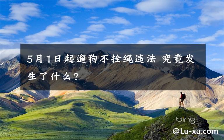5月1日起遛狗不拴绳违法 究竟发生了什么?