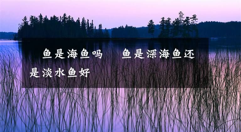 鮰鱼是海鱼吗 鮰鱼是深海鱼还是淡水鱼好